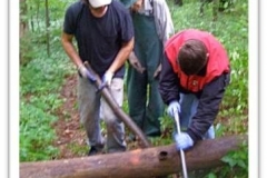 ecos-trail-clearing-3